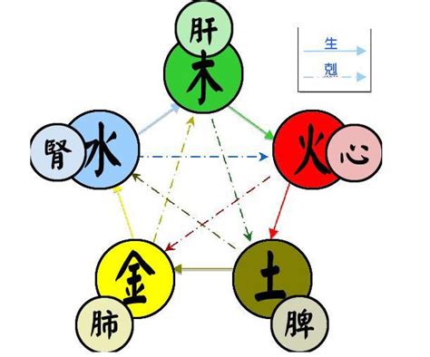 心 五行|中医学基础